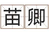 苗卿大名顾-正轨免费算命