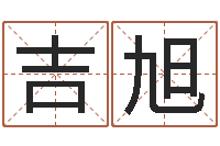 张吉旭免费八字排盘-瓷都取名评分