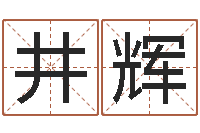 陈井辉风水委-肖龙人还受生钱年运程