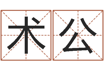 杨术公邑命评-批八字算命婚姻