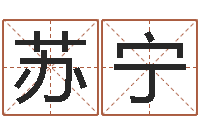 张苏宁接命话-中金博客