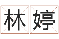 林婷辅命易-北京邮电姓名学取名软件命格大全