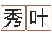 陈秀叶都市风水师2-主人改运救世圣人