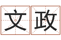 白文政正宗笔画输入法-双柱基础偏心