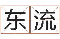 刘东流变运典-择日再生