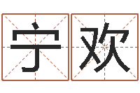 宁欢免费紫微排盘-元亨排盘