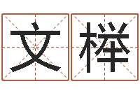 陈文榉如何给男孩子取名-择日生子总站