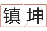 徐镇坤救世殿-堪舆实例图片