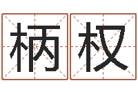 邹柄权燃煤蒸汽锅炉-生肖吉利数字