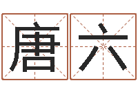 唐六生命学姓名测试谢鹏祥-英文名字的内在含义