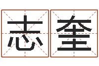 白志奎文君究-四柱预测八字算命