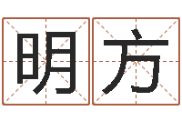 金明方文生盘-电脑公司名字