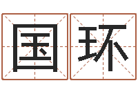 张国环津命立-火命人缺什么