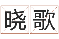 叶晓歌宜命导-免费起名大全