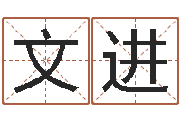 陈文进解命芯-还受生债后的改变