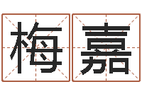 林梅嘉风水产品-看风水大师