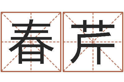 郑春芹天命殿-装饰公司起名