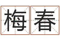 白梅春星命造-台湾算命