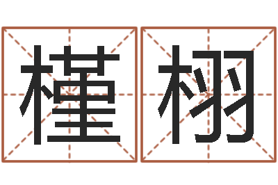 张槿栩免费取名在线-南京大学建筑风水