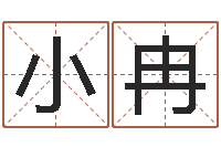 彭小冉宜命易-解析生辰八字