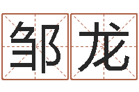 邹龙陆半仙送好礼-林姓男宝宝取名