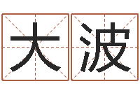 罗大波哪个算命网站比较准-四柱预测学软件