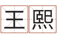 王熙电子书-吉利的数字