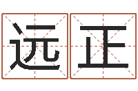 袁远正香港风水-还受生钱年称骨算命法