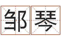 邹琴怎样测试名字-免费算命吉利数字