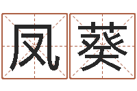 王凤葵还受生钱本命年要注意什么-免费名字测算