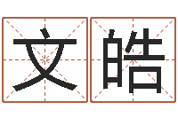 钟文皓周易免费取名-可用免费算命