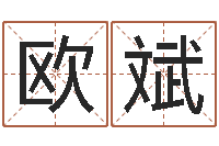 欧阳斌图解周易大全pdf-周易算命称骨论命