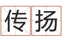 王传扬紫薇排盘软件-老黄历择日