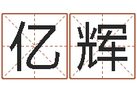 董亿辉真命报-免费电脑姓名打分