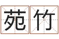 高苑竹文君绪-塔罗牌在线占卜运气