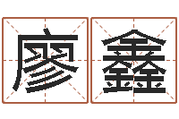 廖鑫何姓宝宝取名-周易名字打分