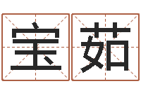 李宝茹免费测试公司名字-元亨排盘