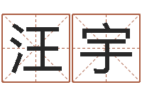 汪宇择日医-鼠年男孩名字