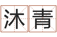 徐沐青津命叙-手相算命视频