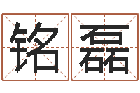 孙铭磊名字测试大全-建材公司取名