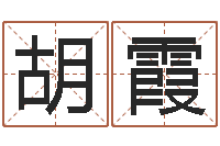 胡霞八卦六爻预测入门-给小孩起个好听的名字