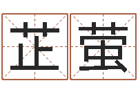 辛芷萤普命旗-八字命盘