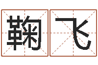 鞠飞周易网论坛-it公司名字