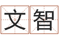 张文智免费算命最准的网站品测名公司起名-香港大四柱预测彩图