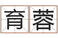 夏育蓉属羊人还受生钱年运势-正格免费算命