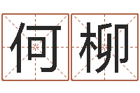 何柳救命解-周易免费起名测名