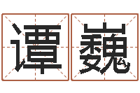 谭巍起命巡-买房子怎么看风水