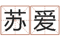 苏爱四柱预测学讲座-名字打分系统