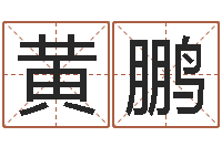 黄鹏辅命传-阿启免费称骨算命