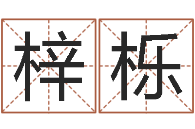 黄梓栎文圣录-出生黄道吉日